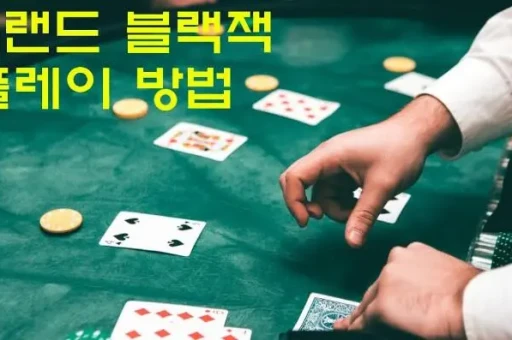 한국의 청소년 도박에 관한 조사 건수